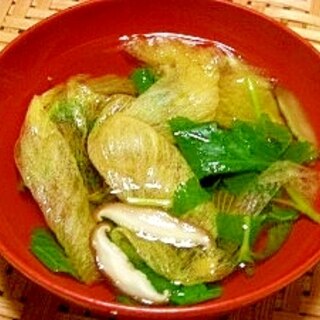 花オクラレシピ 作り方の人気順 簡単料理の楽天レシピ 花オクラレシピ 作り方の人気順 簡単料理の楽天レシピ